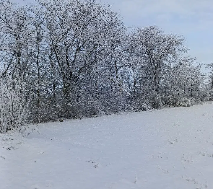 Продаётся участок, 154 сот., Фермерский
