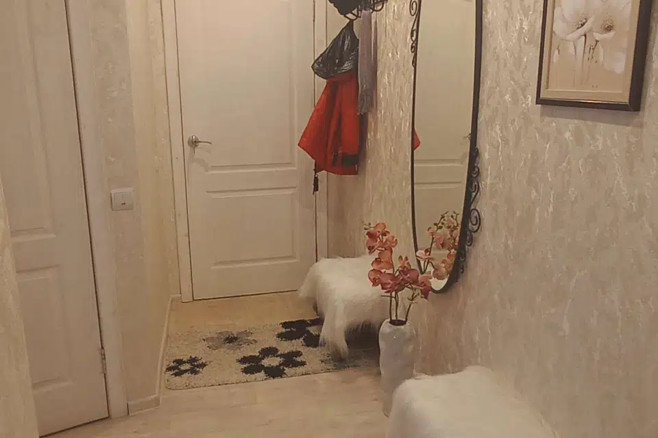Продаётся 2-комнатная квартира, 47 м²