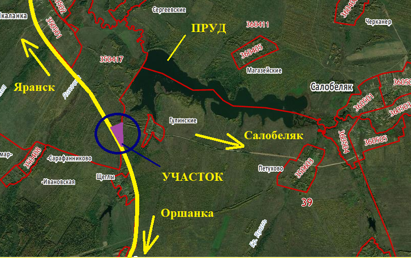 Салобеляк кировская область карта