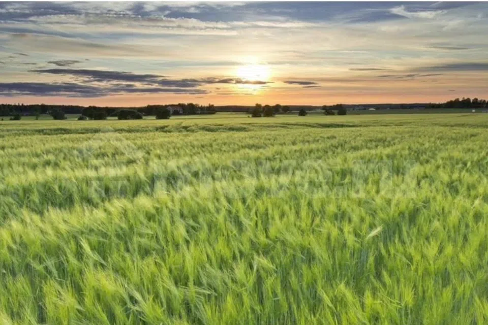 Продаётся участок, 2300 сот., Фермерский