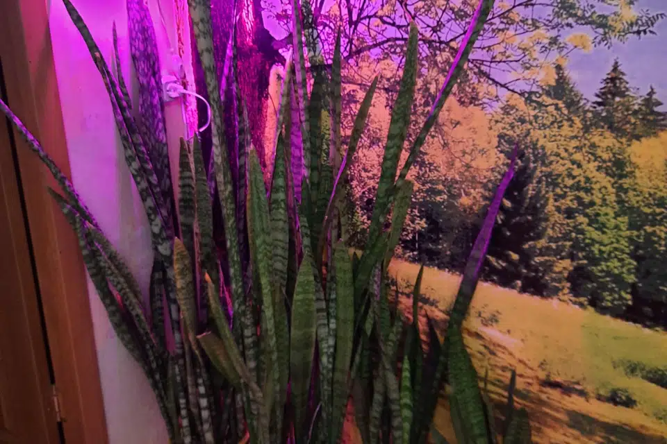 Продаётся 3-комнатная квартира, 56.4 м²