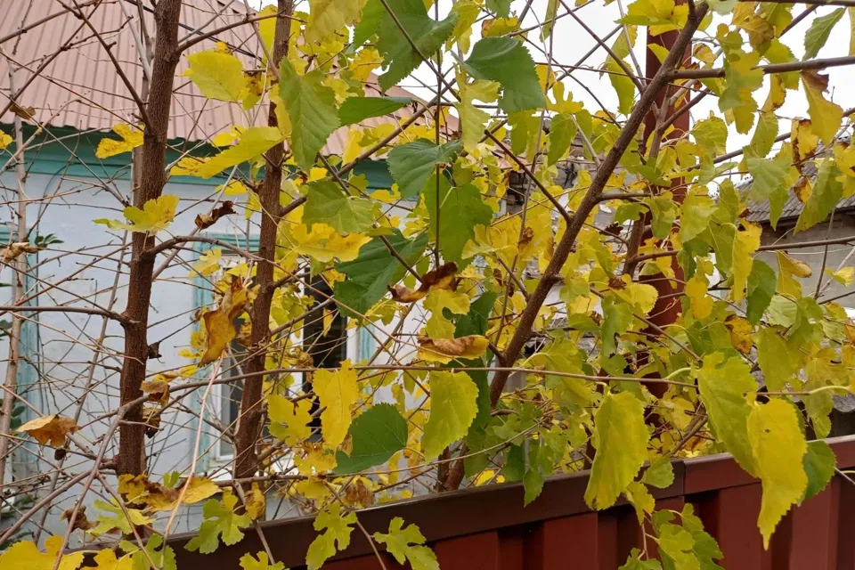 Продаётся 1-этажный дом, 39.1 м²