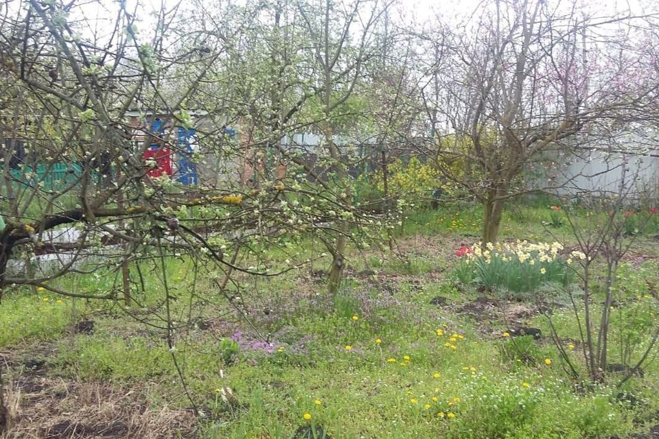 Садово дачное товарищество лесная сказка майкоп. Дача воронеж дальние сады улица насосная. Садовое товарищество грушевый. Садовое товарищество грушевый. Дача в краснодаре.