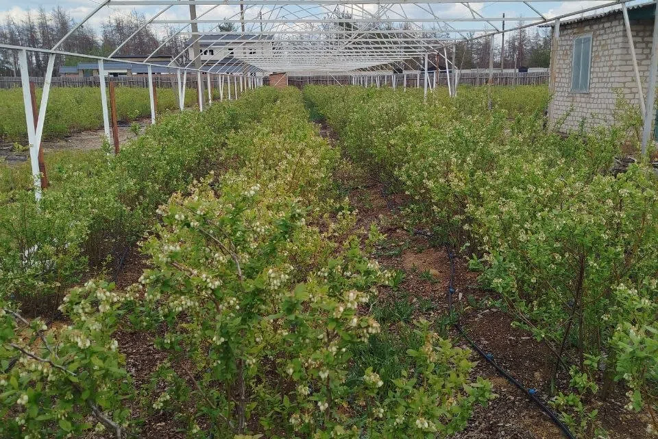 Продаётся 1-этажный дом, 40 м²