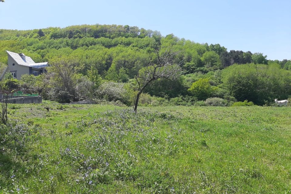 Купить земельный участок в кисловодске. Вольница ставрополь снт. Хутор смыков ставропольский край. Земельный участок в ставропольском крае. Земельный участок ставрополь.