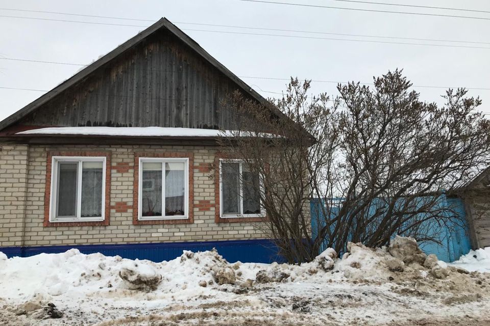 Маркс березовка. Маркс березовка
