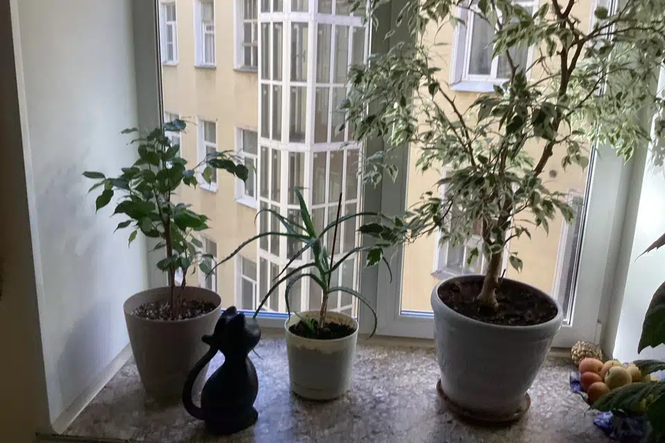 Продаётся 1-комнатная квартира, 62.7 м²