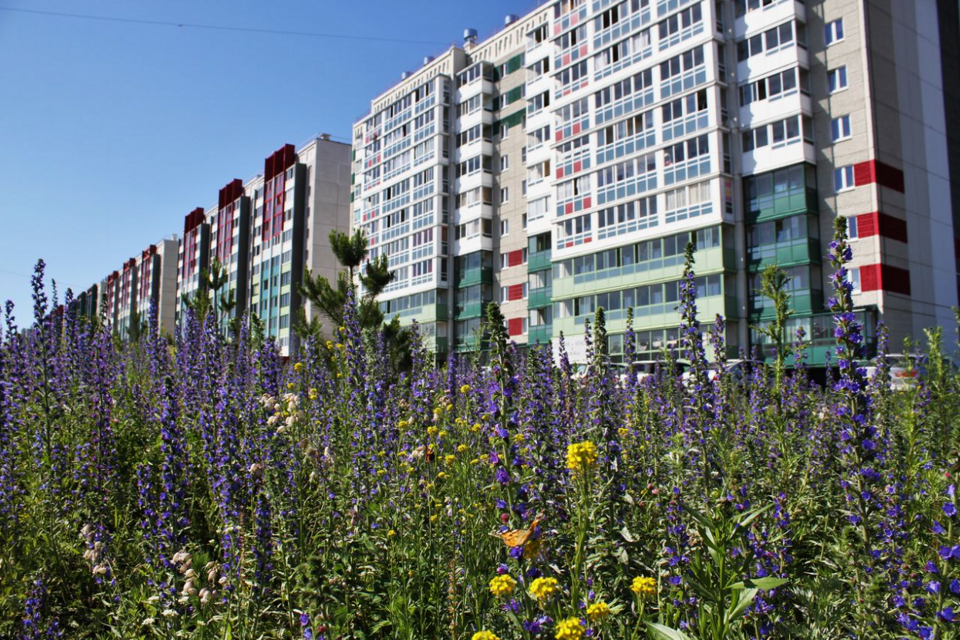 Продаётся студия, 24.5 м²
