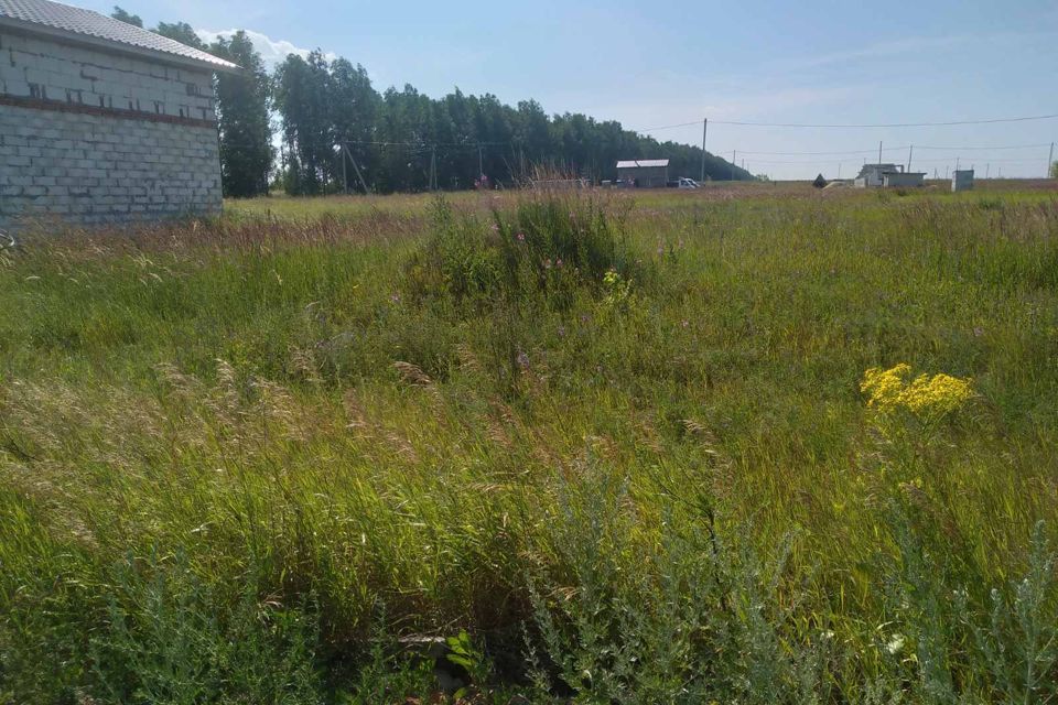 Участки под ижс пенза. Пенза бакшеевка фото. Участки в пензе под ижс. Участки под ижс пенза. Рамзай (село).