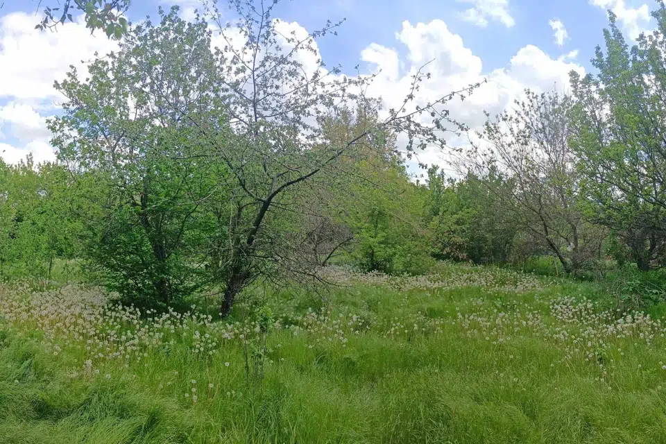 Продаётся участок, 6 сот., Садовый