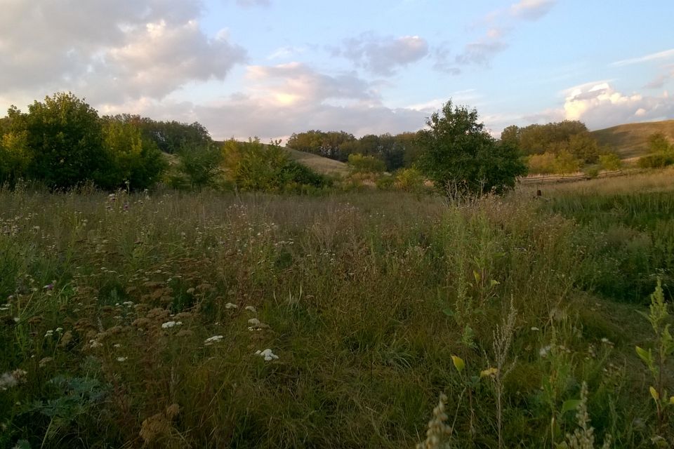 Недвижимость в селе Палимовка на Центральной улице (Оренбургская область)