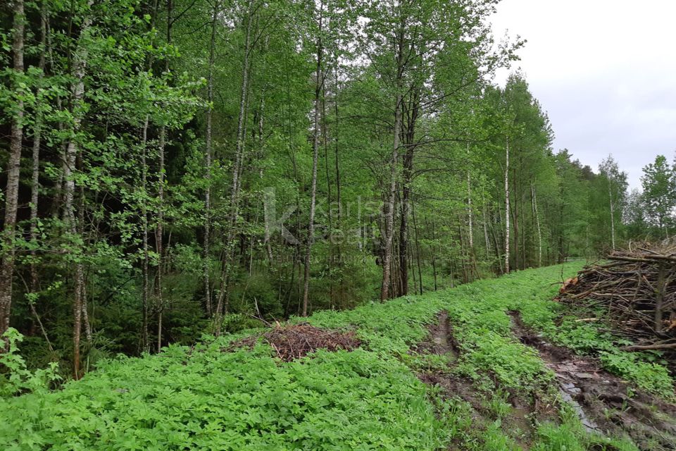 Климат и погода ОАЭ по месяцам