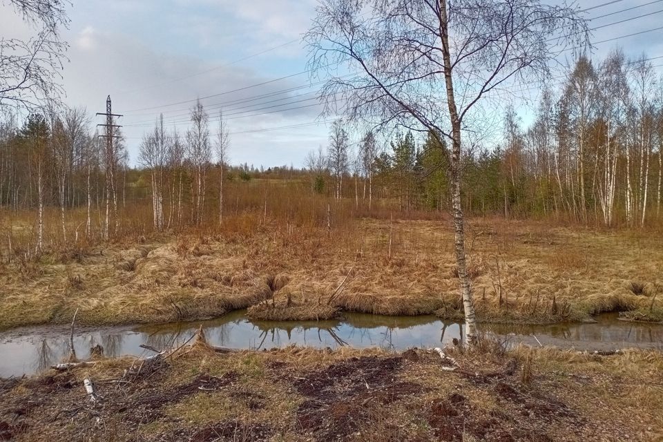 Руза шале коттеджный поселок. Forest park волноваха. Деревня косякино фото. Коттеджный посёлок цветочный калужское шоссе. Деревня терпилицы.