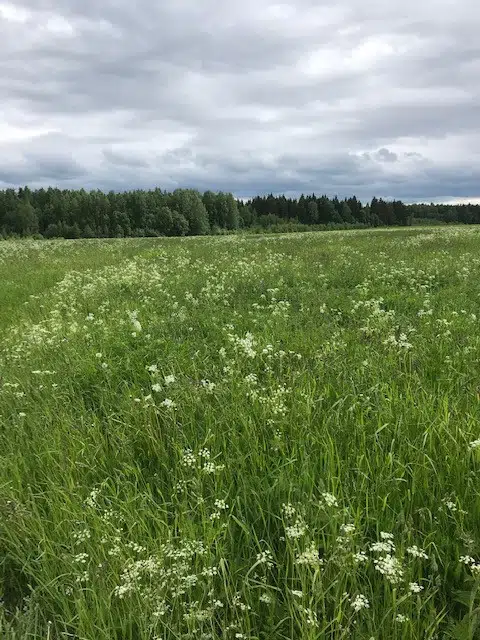 Продаётся участок, 15 сот., ИЖС
