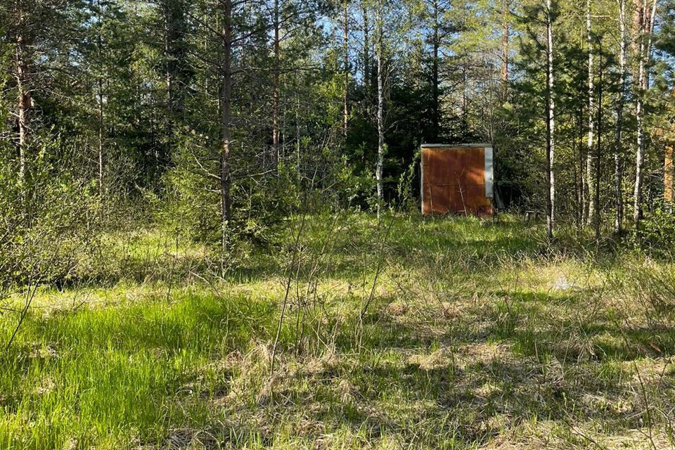 Погода юкковское поселение. Снт сестроречье. снт сестроречье юкковское сельское поселение.
