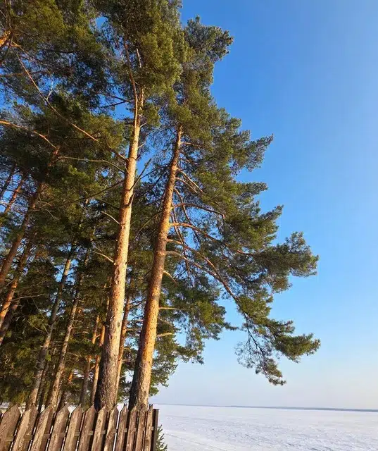 Продаётся участок, 17.2 сот., ИЖС
