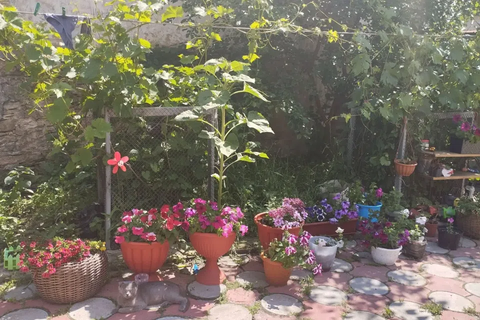 Продаётся 1-этажный дом, 75 м²