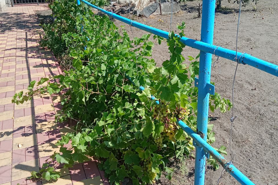 Продаётся 1-этажный дом, 45 м²