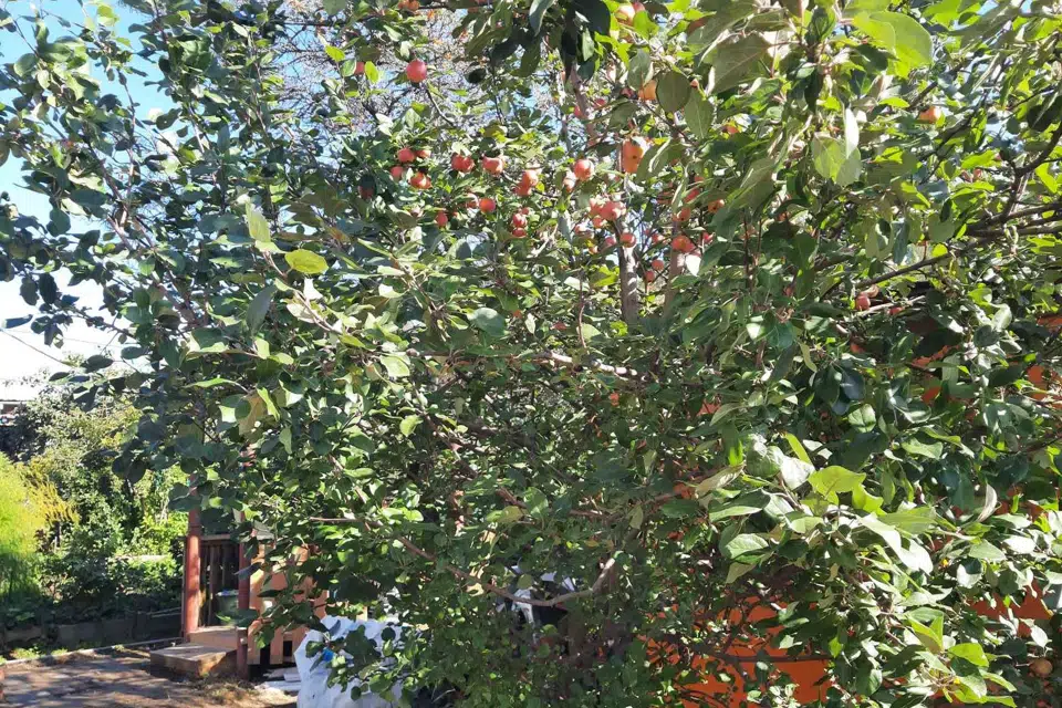 Продаётся участок, 4 сот., Садовый