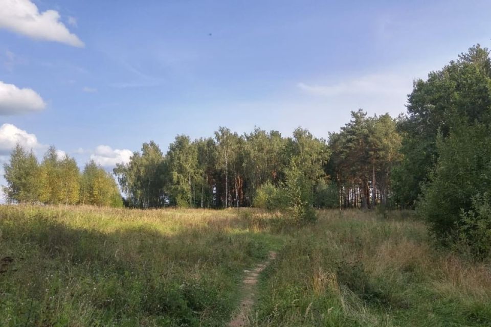 Деревня Петраково Владимирская область.