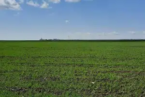 Продаётся участок, 500 сот., Фермерский