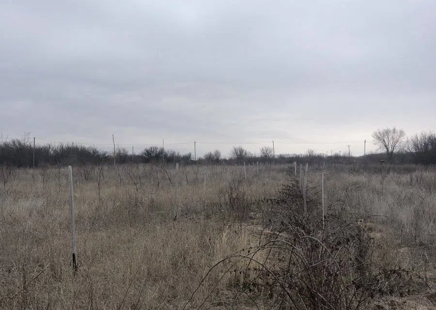 Продаётся участок, 6 сот., Садовый