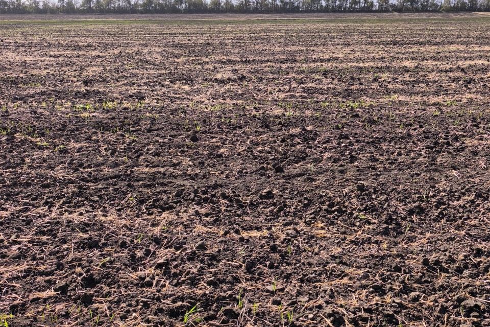 Продаётся 1-этажный дом, 117 м²