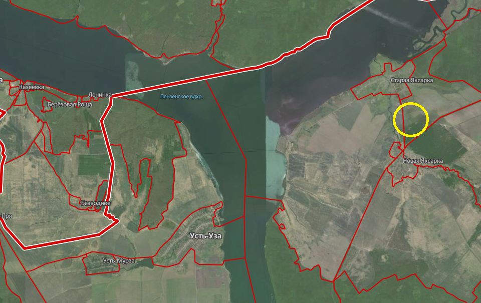 Карта шемышейка пензенская область со спутника
