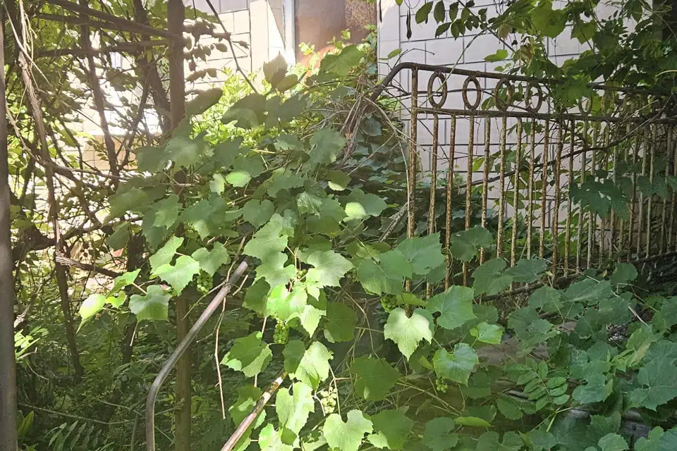 Продаётся участок, 12 сот., ИЖС