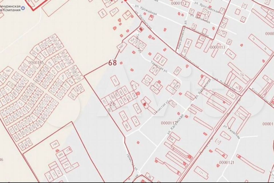 Кадастровая карта тамбов. Мичуринск межевание. Мичуринск улица Ржевского. Мичуринск Рябиновая 85. Ул. Рябиновая Торопец Подгороднее маршрут.