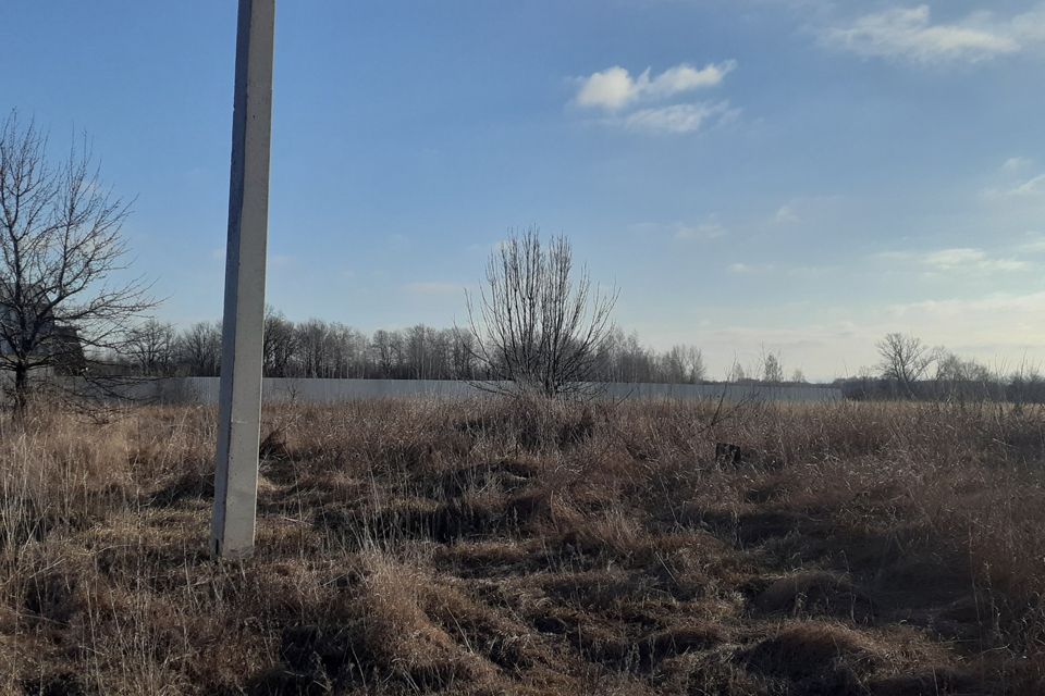 Погода в сошки липецкая область. Погода в сошки липецкая область. Прибытково липецкая область. Сошки липецк. Школа сошки.