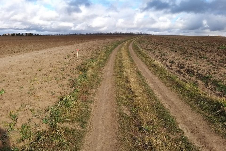 Земля Сельхозназначения Купить В Ленинградской