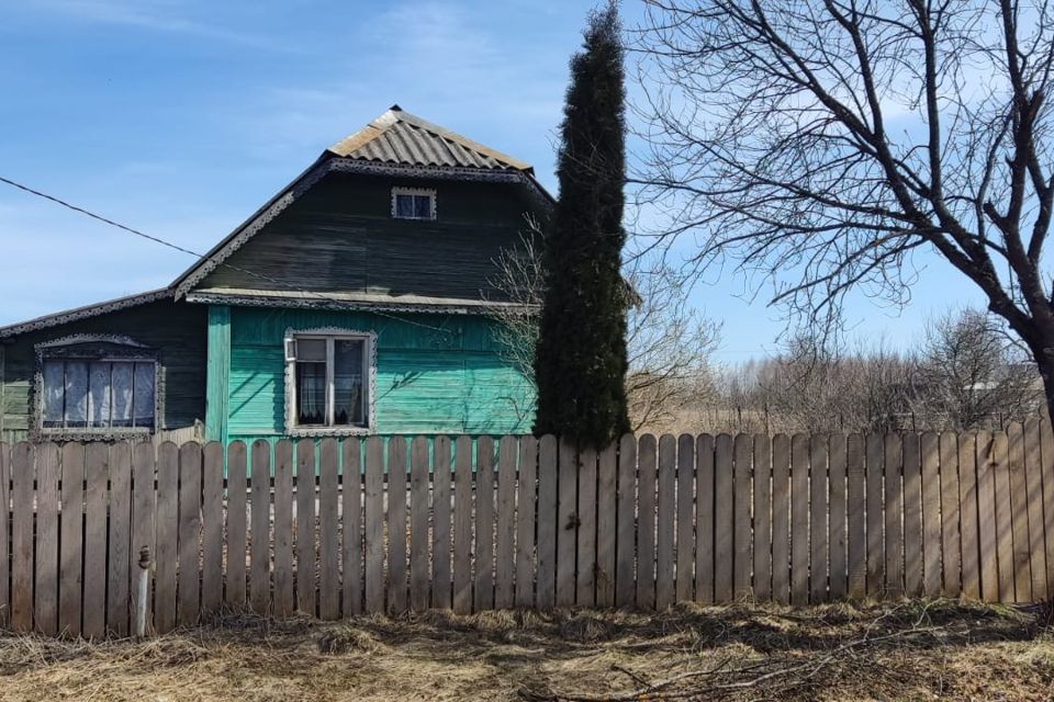 6 Покажи Фото