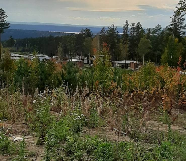 Еловый байкальский тракт. Еловый поселок Иркутск. Фотографии ДПК Ангарский берег. Поселок еловый Иркутск отзывы