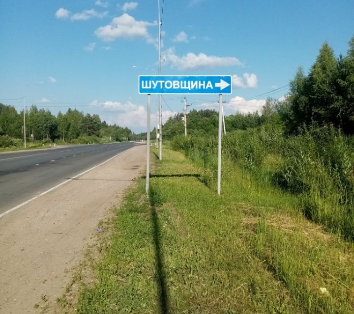 Фото деревня шутовщина переулок зеленый 1