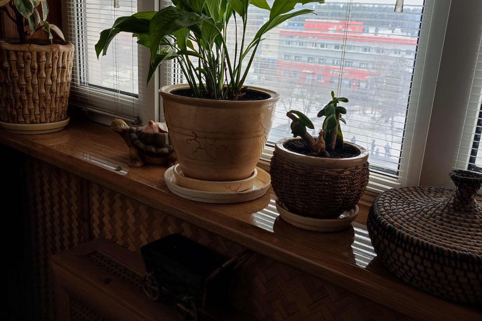 Продаётся 2-комнатная квартира, 53.5 м²
