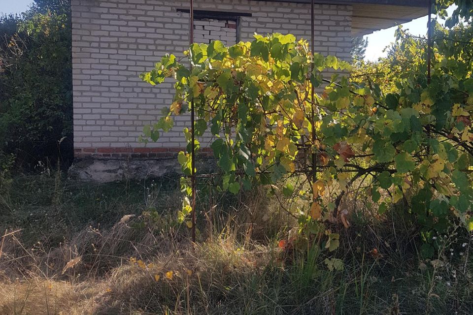 Купить Дачу В Белой Калитве Свежие Объявления