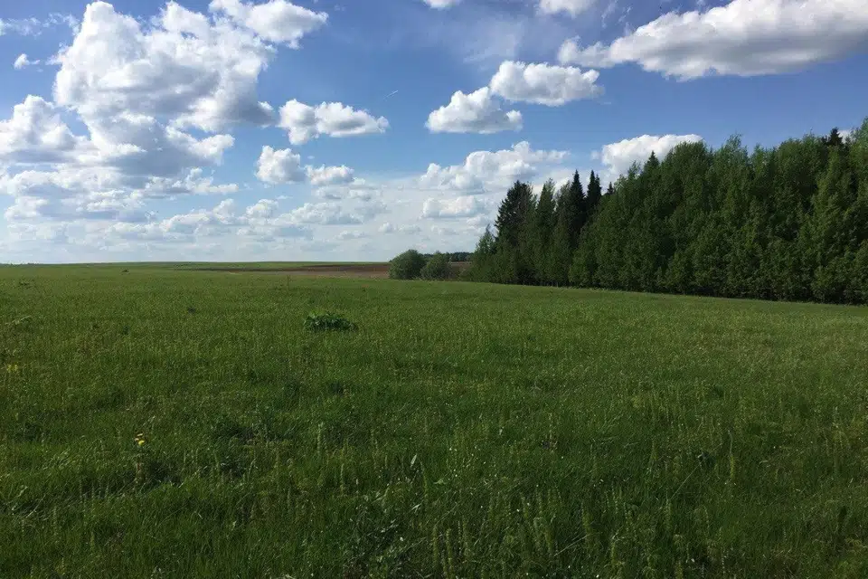 Продаётся участок, 500 сот., Фермерский