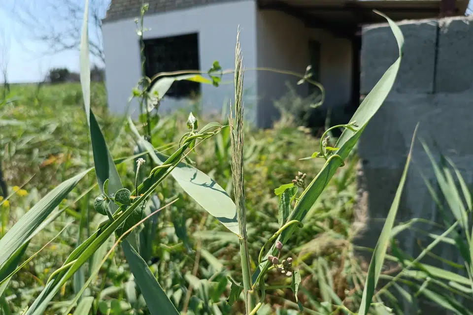 Продаётся участок, 10 сот., ИЖС