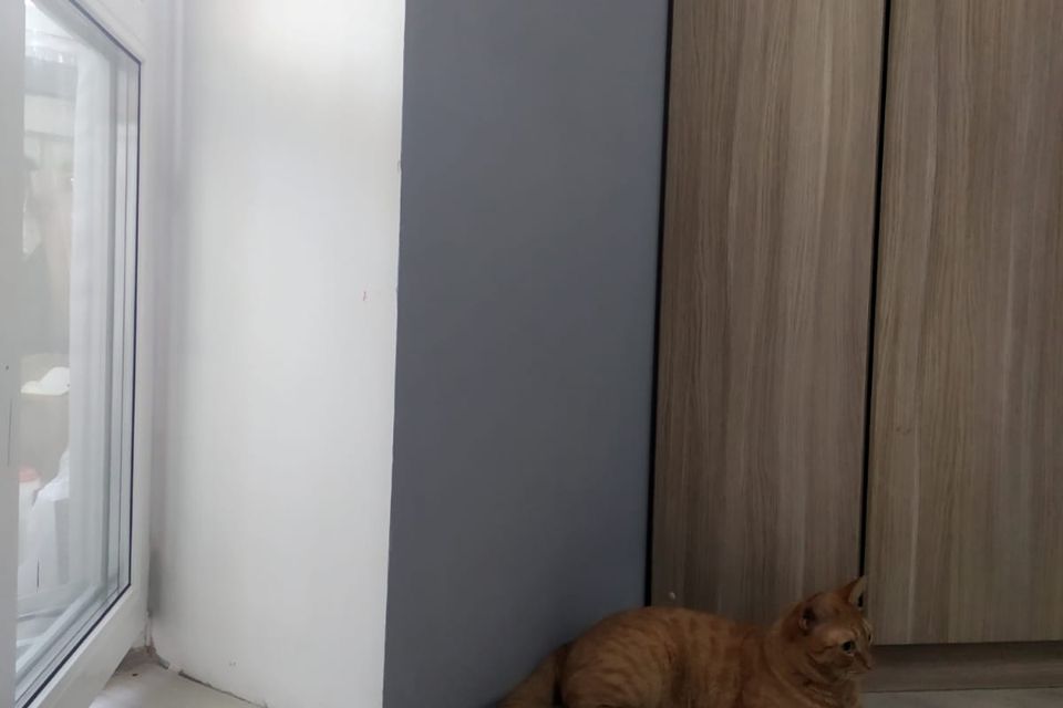 Продаётся 2-комнатная квартира, 33.7 м²