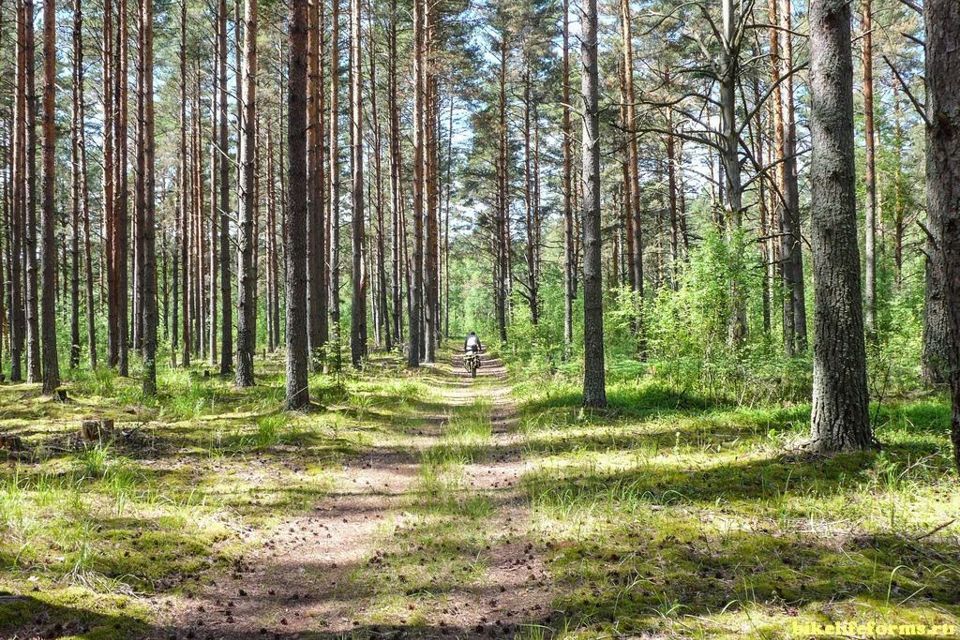 Завидово заповедник фото