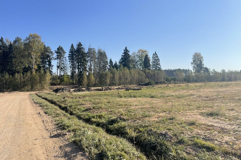 Купить Участок В Бортнево Пушкинский