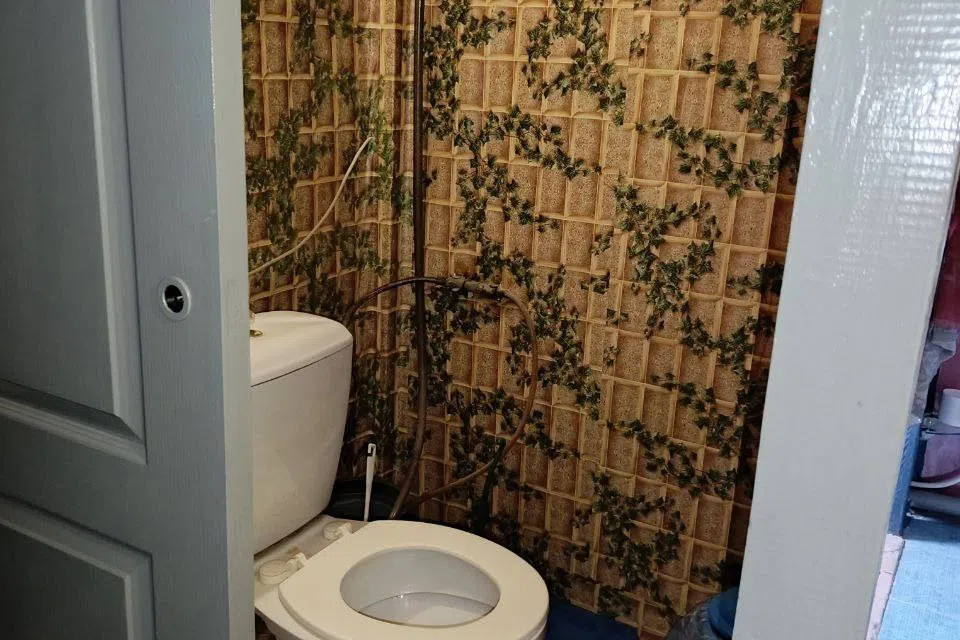 Продаётся 1-этажный дом, 60 м²