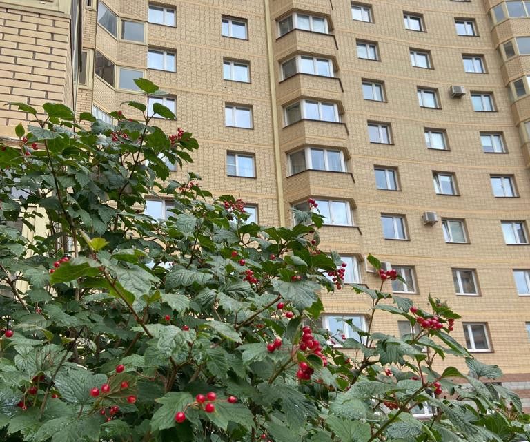 Продаётся 2-комнатная квартира, 54.5 м²
