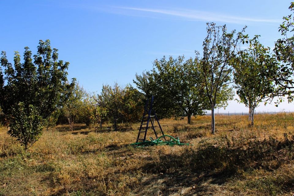 новомаргаритово ростовская обл
