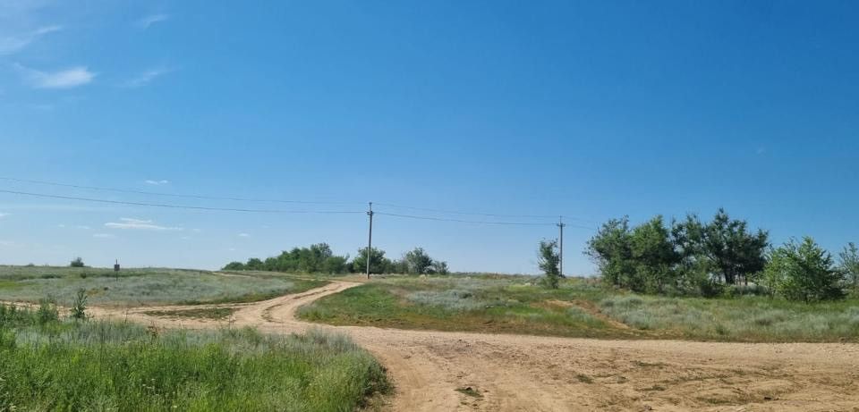 Хутор грачи волгоградская область. Грачи Волгоградская область Городищенский район. Хутор Грачи. Грачи Городищенский район.