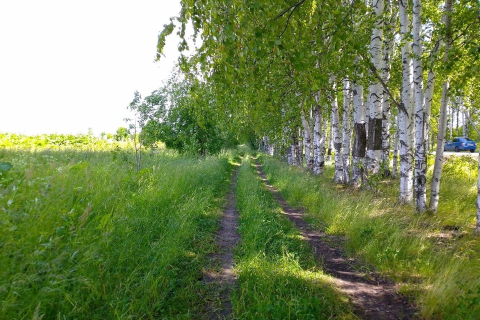 Участок пермский край. Поселок роща Пермский край. Пермский край посёлок красный Восход в каком году построили школу.