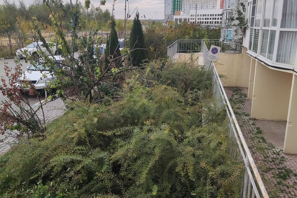 фото отбъекта