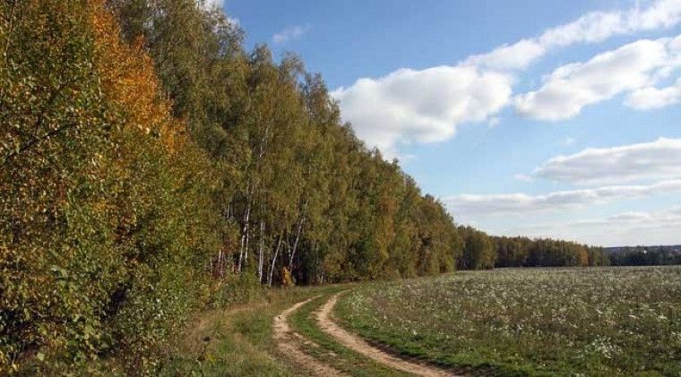 Купить Участок Сенино Чеховский Район