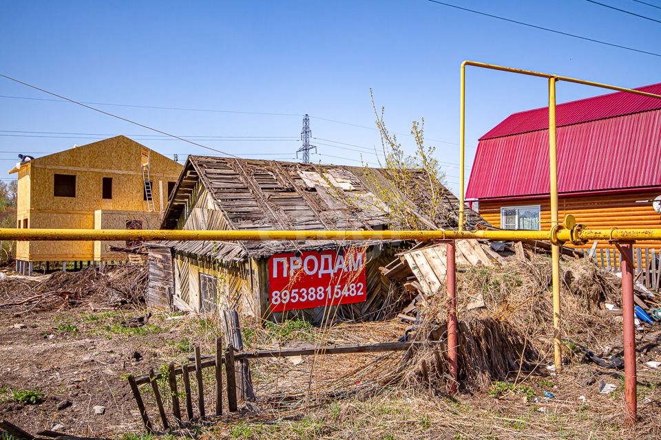 Новосибирский лпх. Станция сады новосибирск фото. Новосибирский лпх. Новосибирский лпх. Новосибирский лпх.
